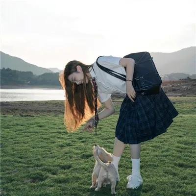 孔雀的羽毛