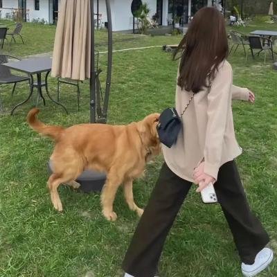 巴萨之梦